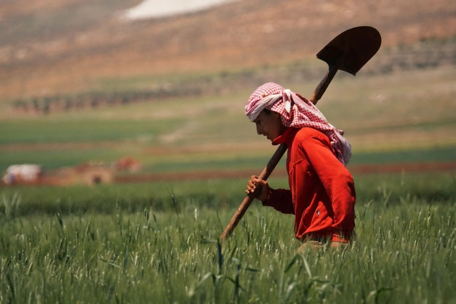 Boosting Lebanese Agricultural Cooperatives Through Certification and Strategic Support