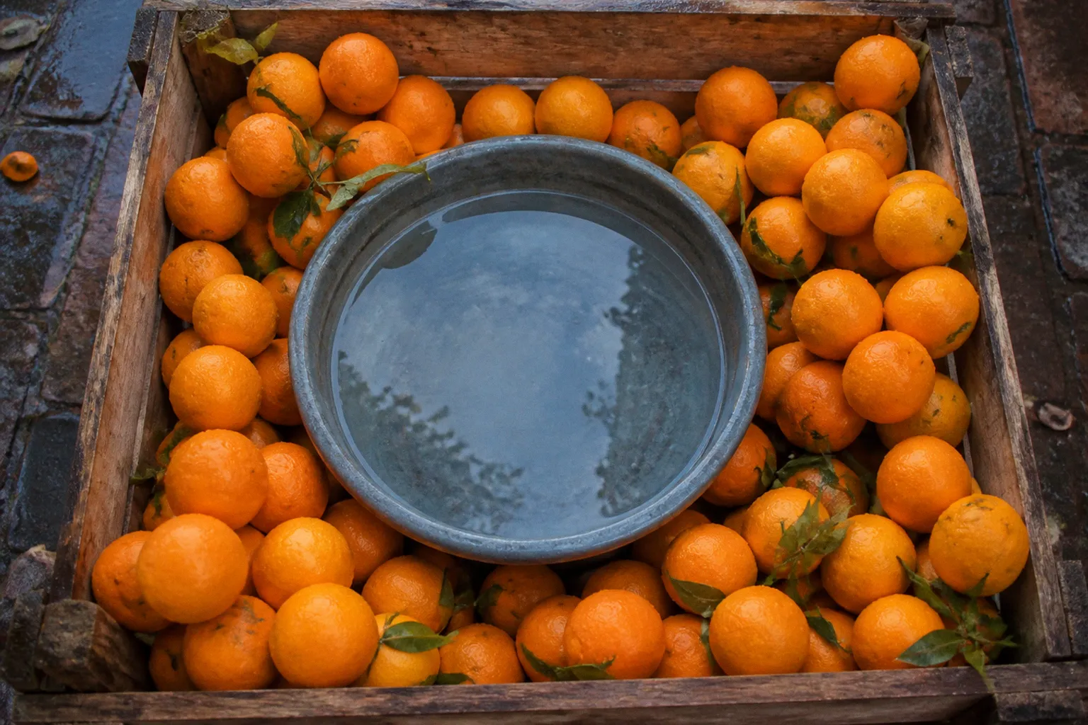 Citrus mold prevention: the 5-minute baking soda dip