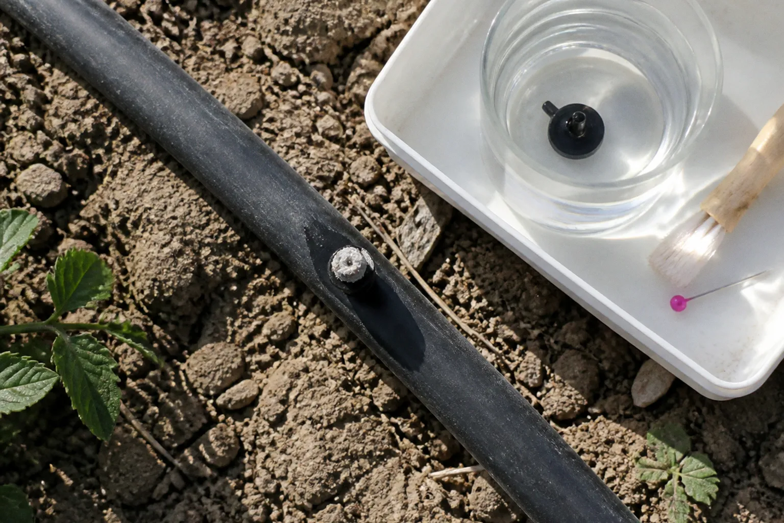 Clogged drip emitters: a 10-minute vinegar fix