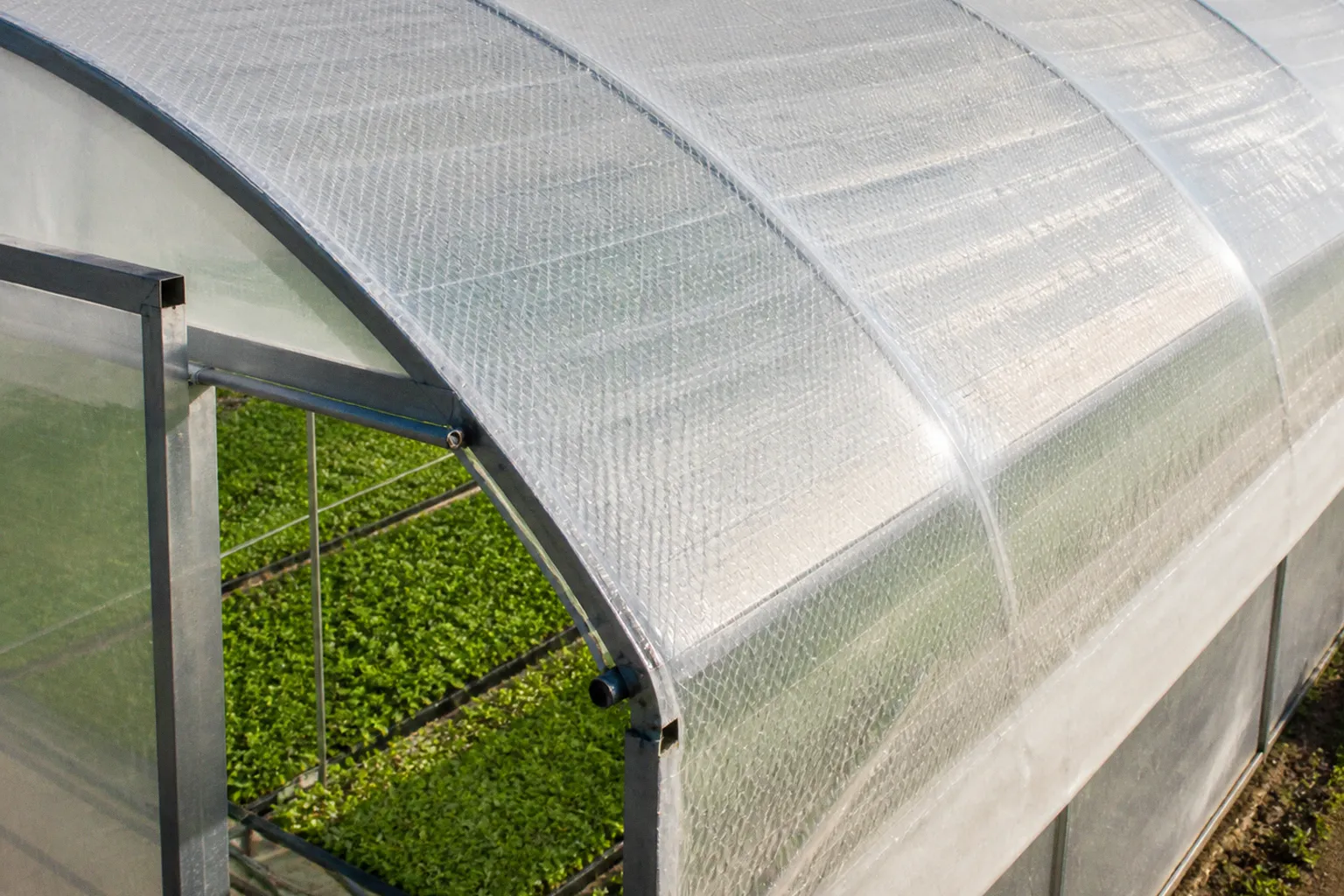 Greenhouse films: choosing the right cover for your farm