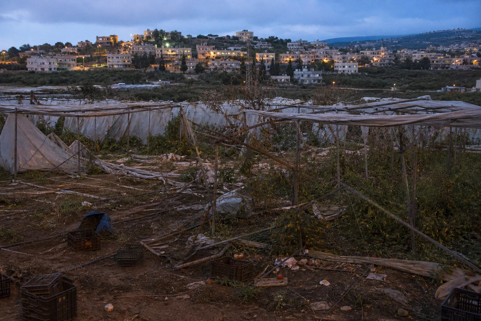 How Escalating Conflict in Southern Lebanon Threatens Agricultural Supply Chains