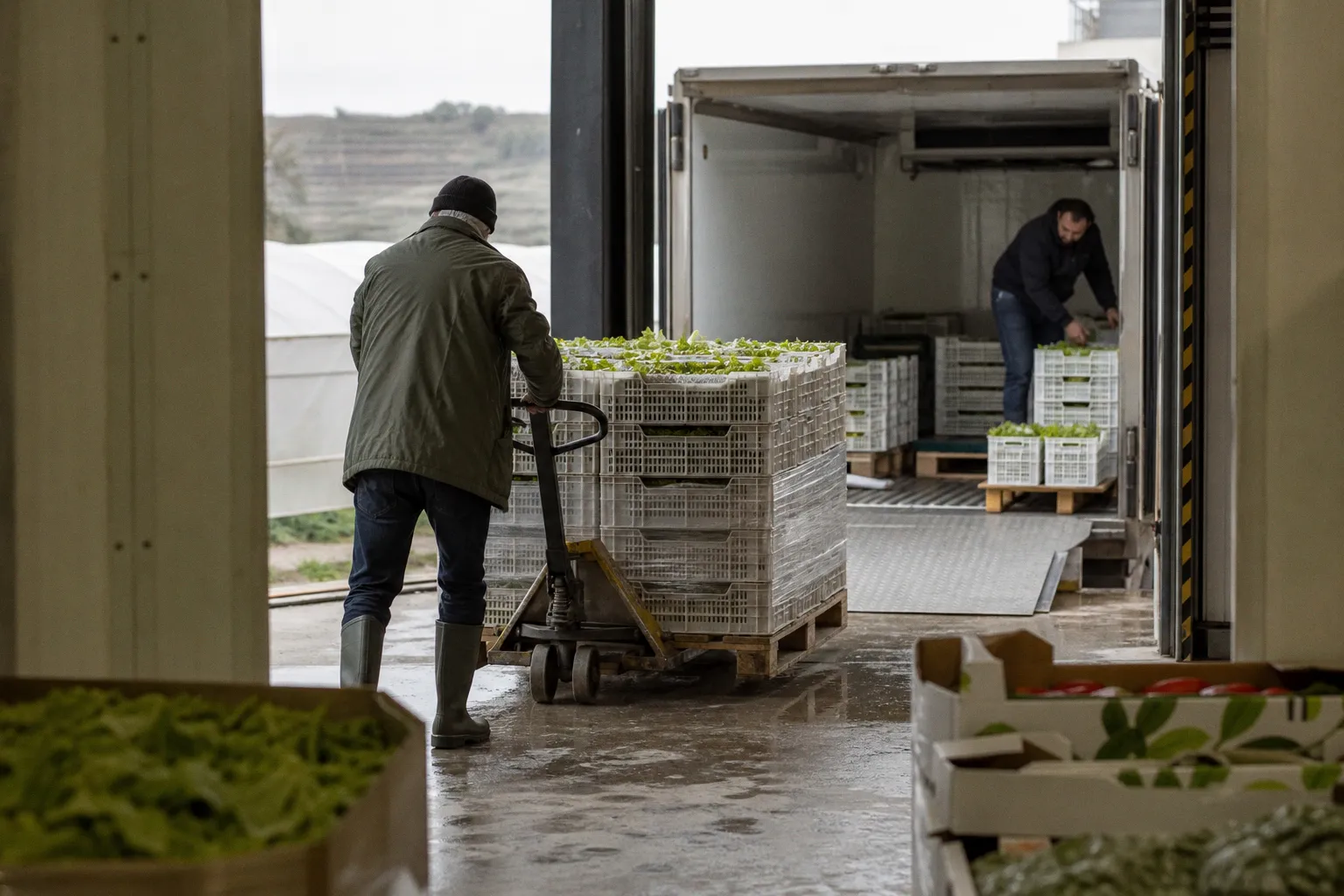 How New US Cold Chain Infrastructure Grants Will Impact Lebanese Produce Exports