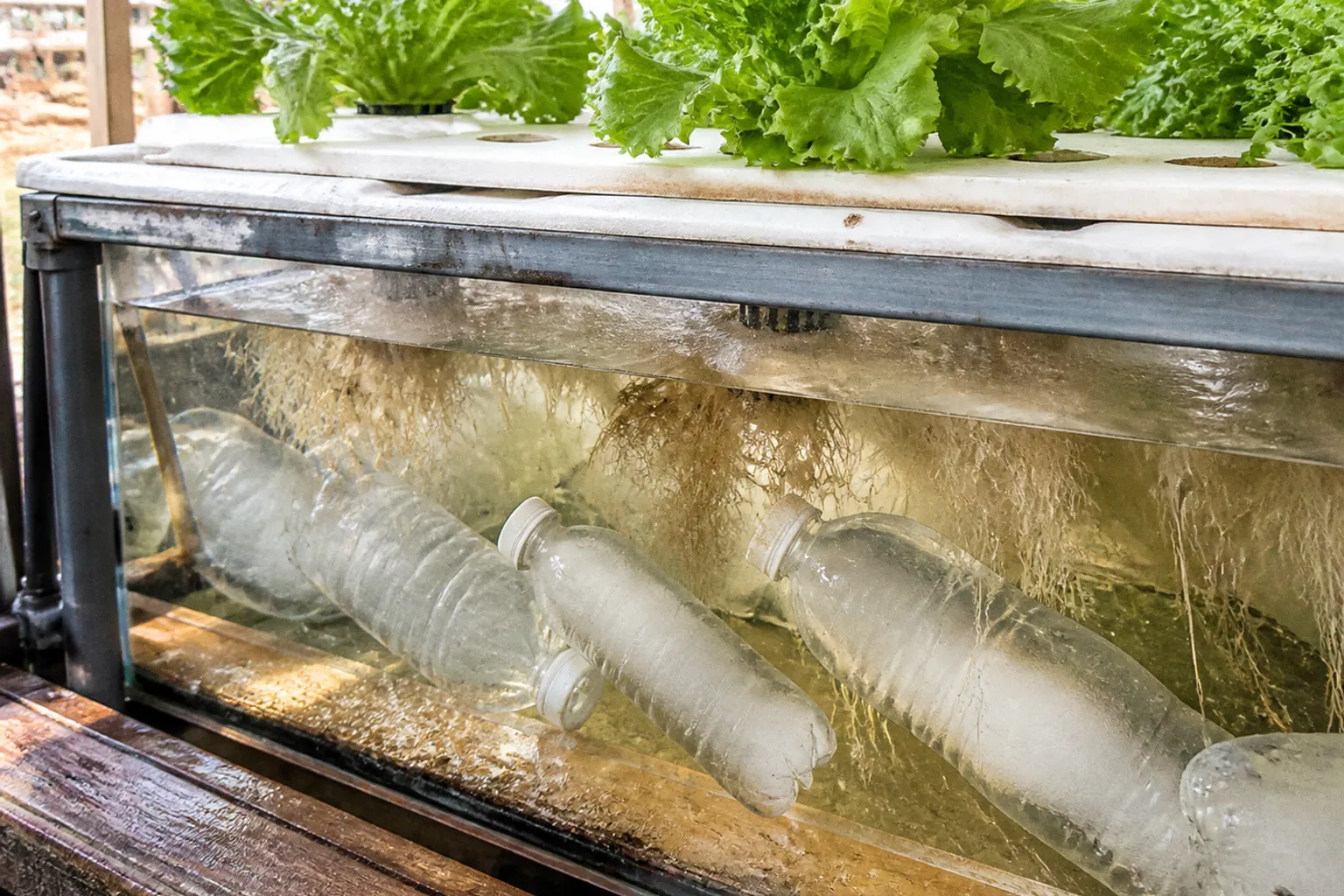 Hydroponic reservoir cooling with frozen water bottles