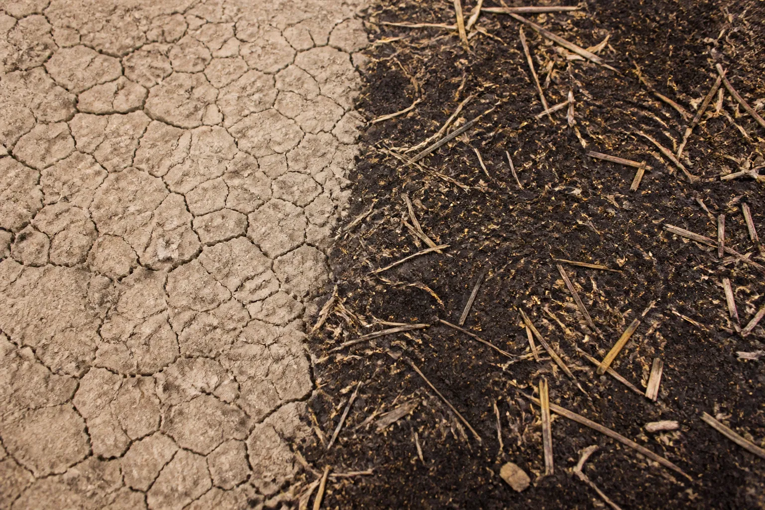 Lebanese no-till transition: soil moisture before and after