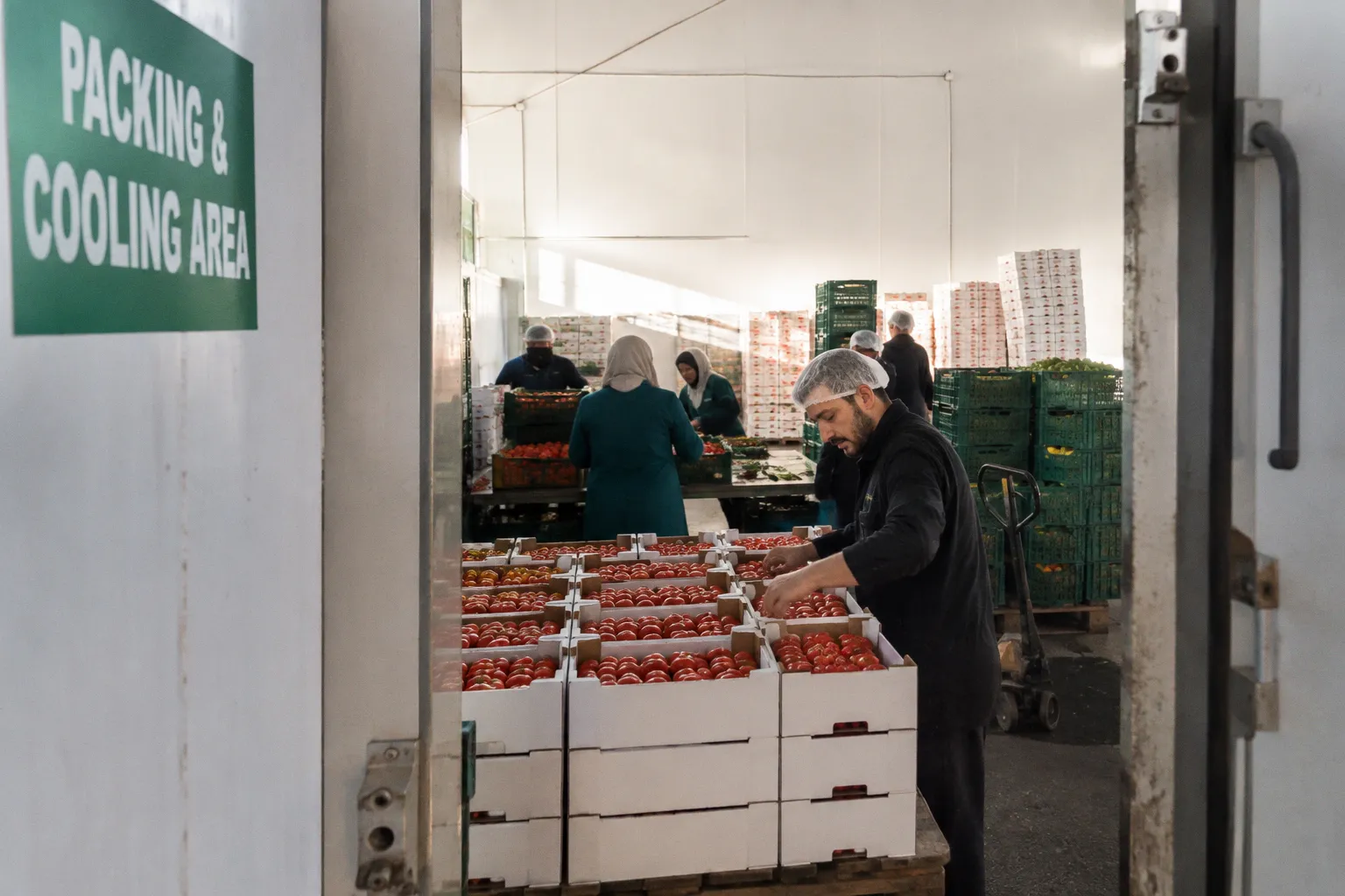 Lebanon Targets Qatari Export Markets Through Enhanced Farm Infrastructure