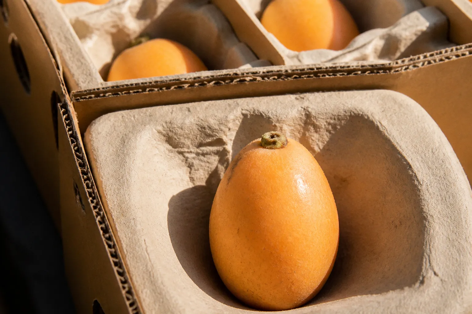 Loquat bruising: the single-layer paper fix
