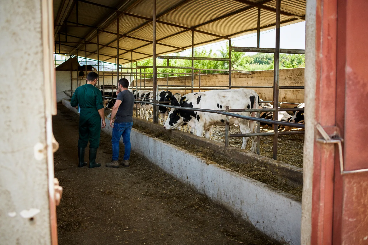 Managing Livestock Health Risks: Lessons from the Qaroun Outbreak