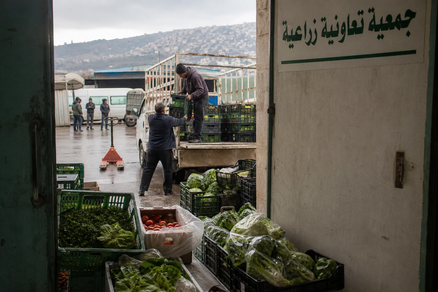 Navigating Agricultural Supply Chain Risks Amid Lebanon’s Escalating Security Crisis