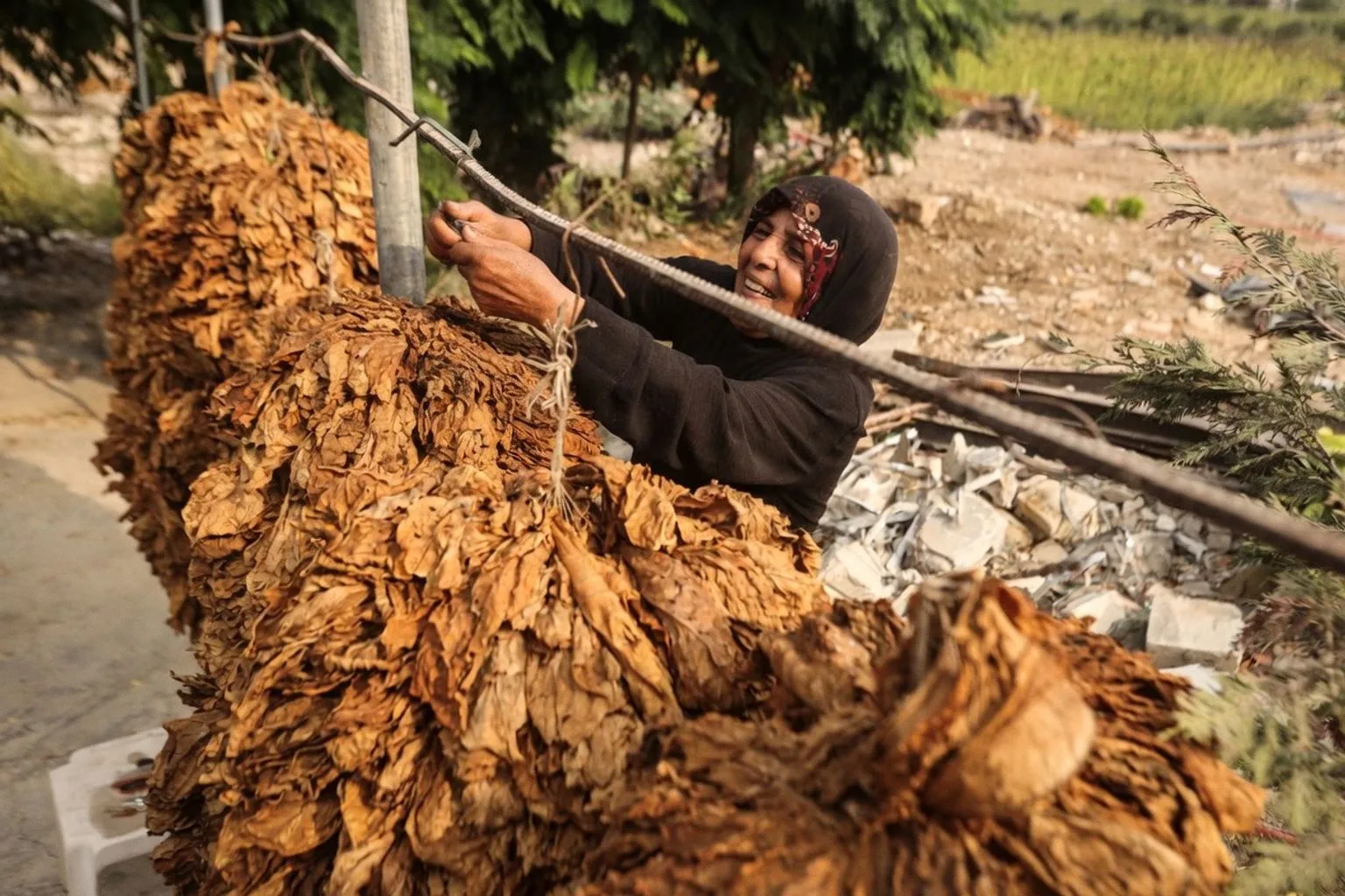 New FAO and Canada Partnership Strengthens Lebanese Agricultural Cooperatives