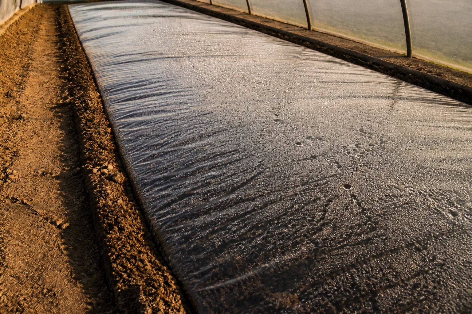 Soil solarization in greenhouses: a four-stage project