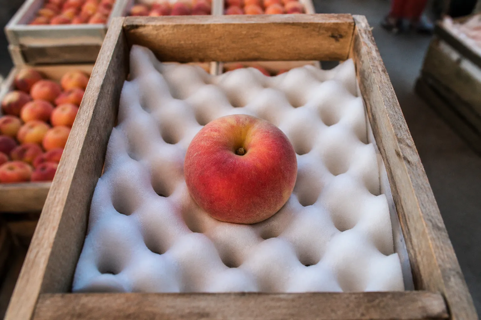 Stone fruit bruising: 5 ways to protect Lebanese harvests